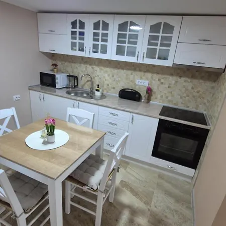 Tiski Labud דירה