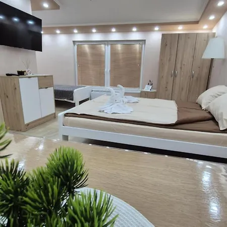 Tiski Labud דירה *